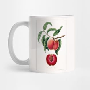 Carrot Peach Mug